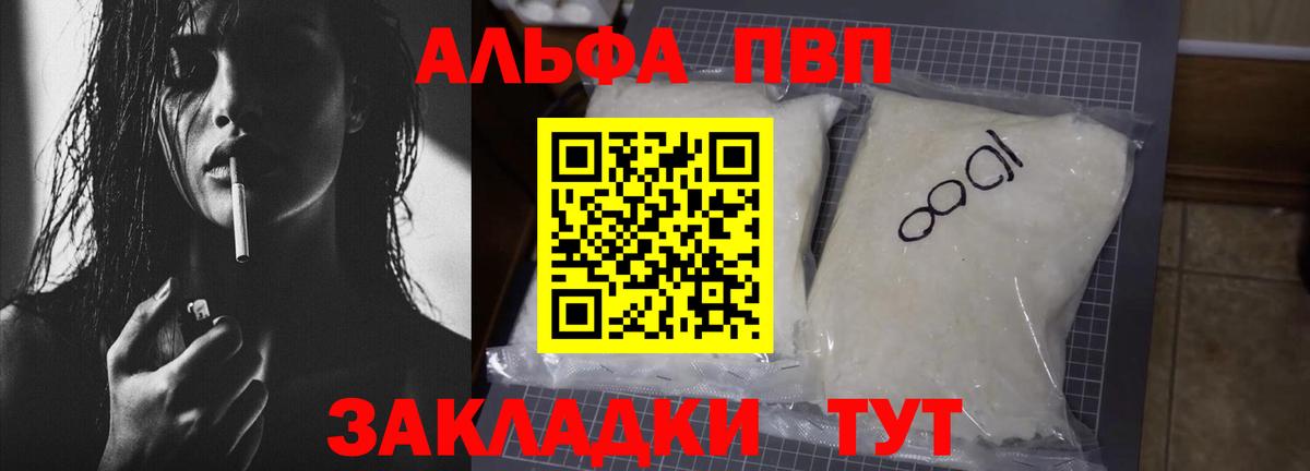 Alfa_PVP СК КРИС Сыктывкар