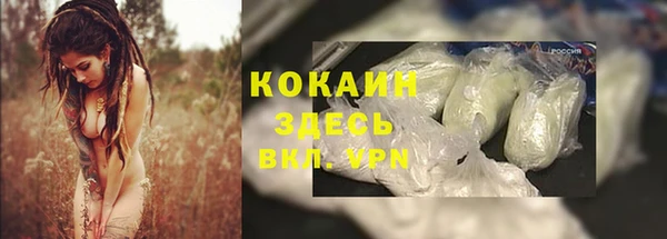 ешки Алзамай