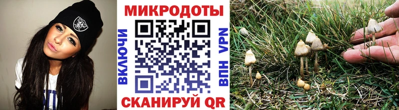 hydra как зайти  Сыктывкар  Галлюциногенные грибы Psilocybine cubensis 