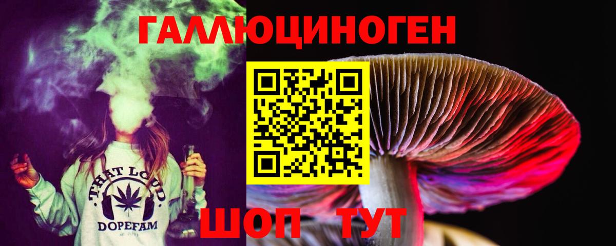 Псилоцибиновые грибы Cubensis Сыктывкар